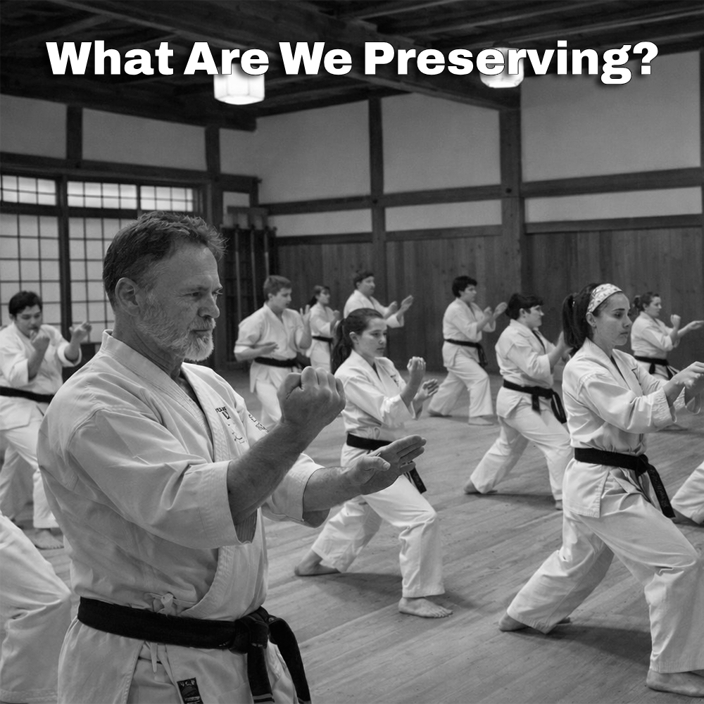 What Are We Preserving?