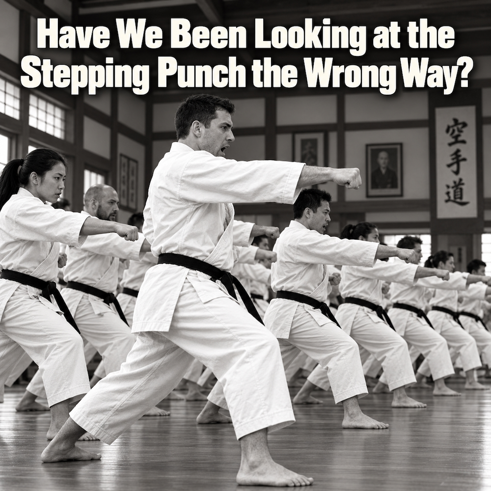 Have We Been Looking at the Stepping Punch the Wrong Way?